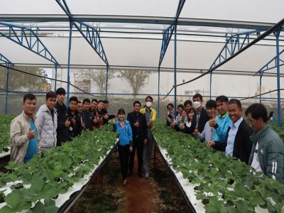 Đào tạo ngắn hạn thuộc Dự án “Thiết lập chuỗi giá trị nông sản an toàn và thông minh tại Việt Nam”
