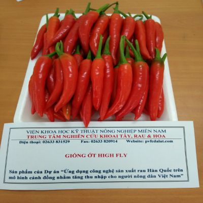 Ớt Hàn Quốc