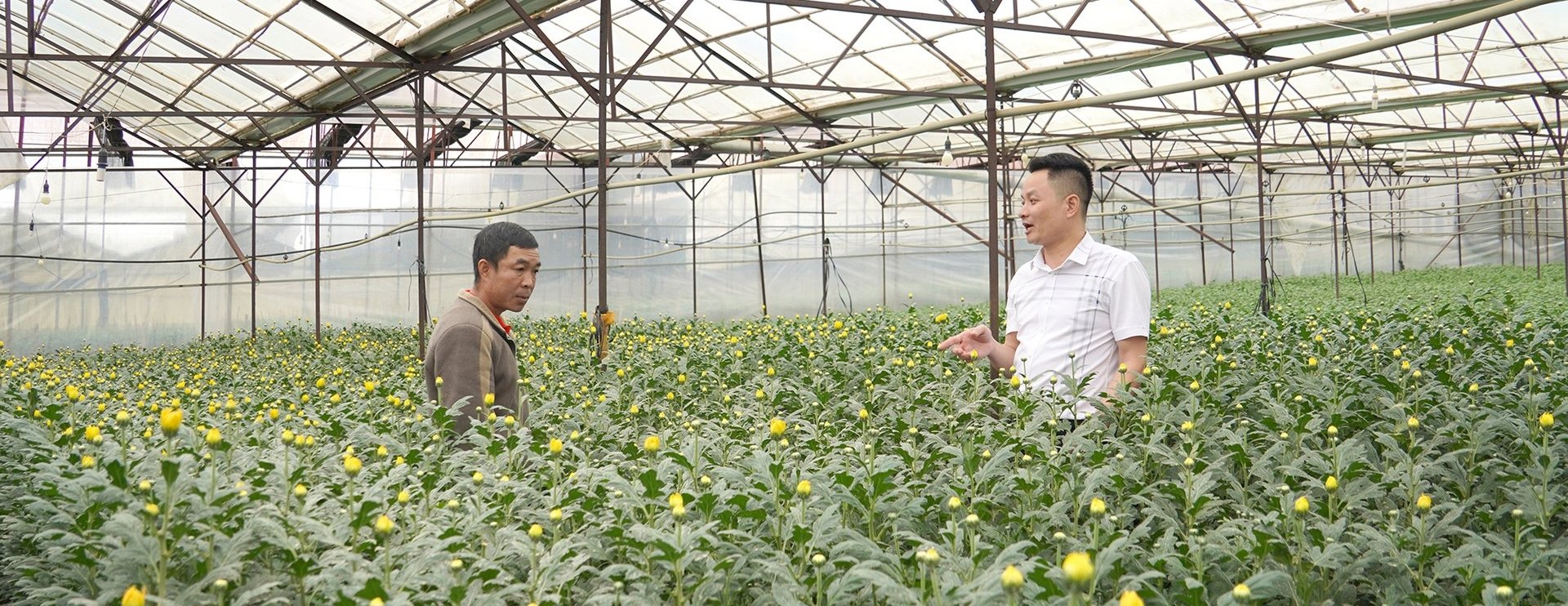 4911-kiem-soat-tot-dich-hai-nho-giong-sach-benh-164902_928