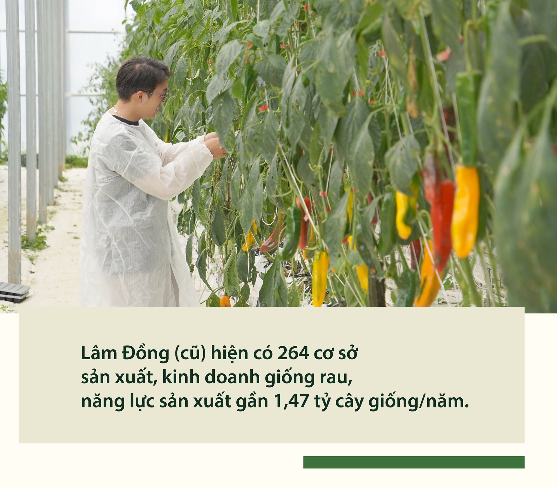 kiem-soat-tot-dich-hai-nho-giong-sach-benh-164952_898