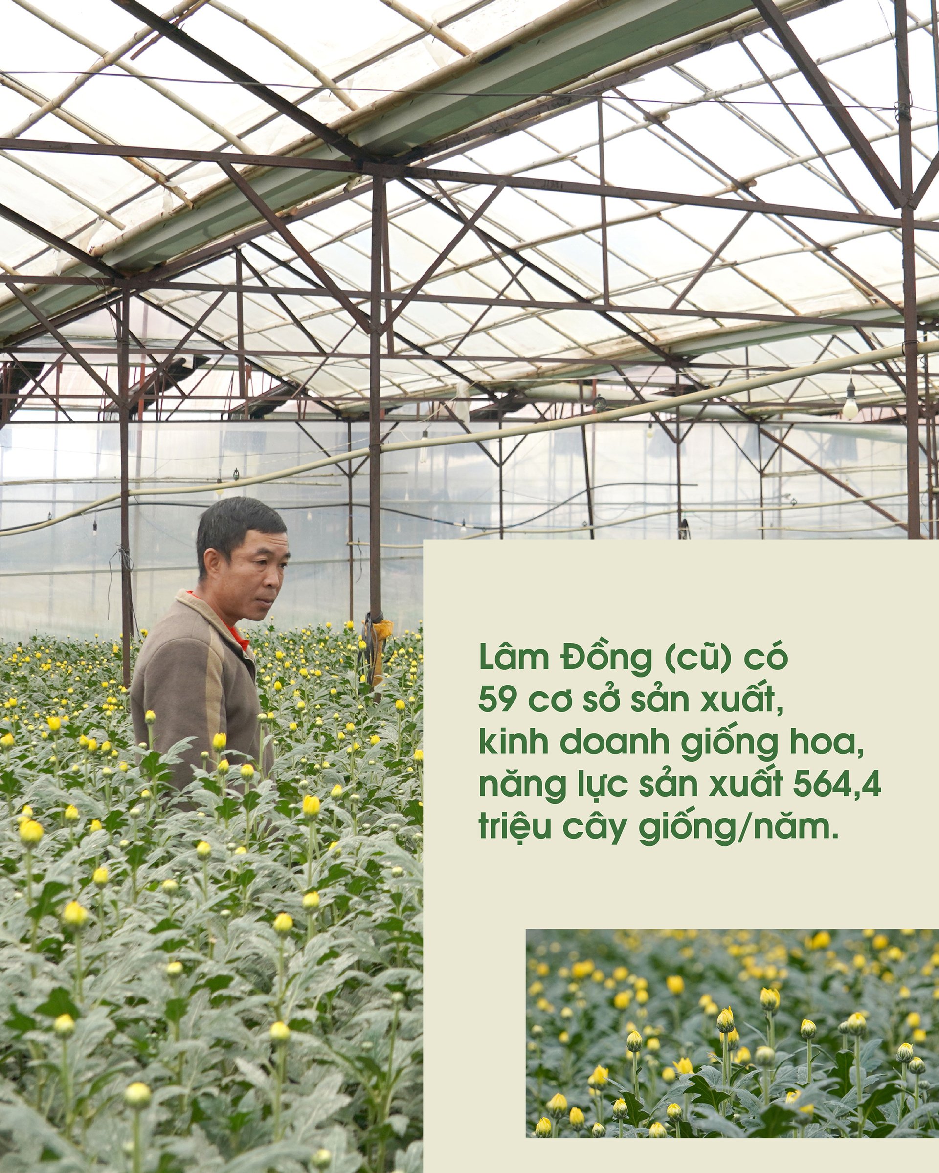 kiem-soat-tot-dich-hai-nho-giong-sach-benh-165025_299