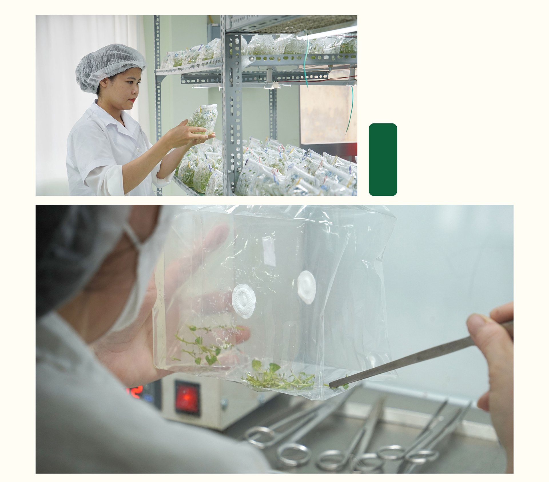 kiem-soat-tot-dich-hai-nho-giong-sach-benh-165044_406