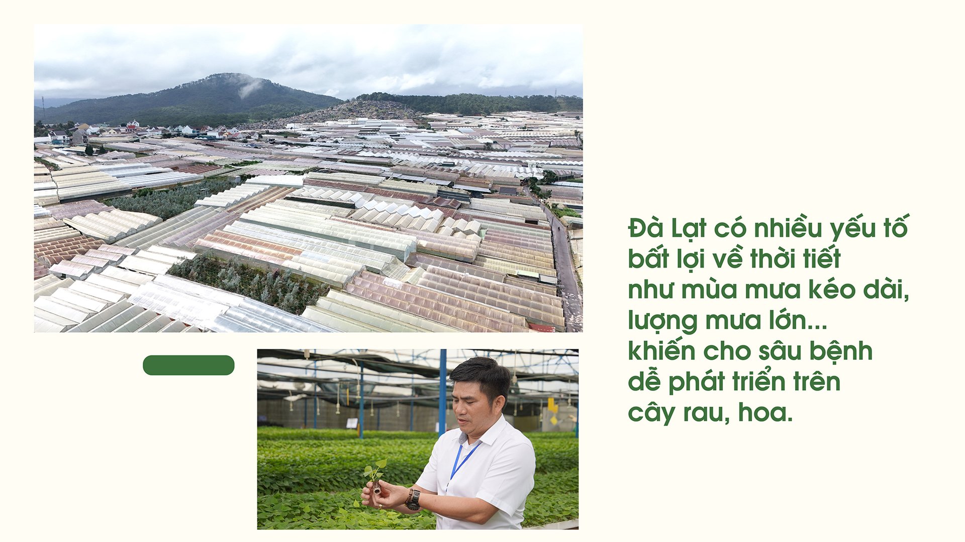 kiem-soat-tot-dich-hai-nho-giong-sach-benh-165102_232