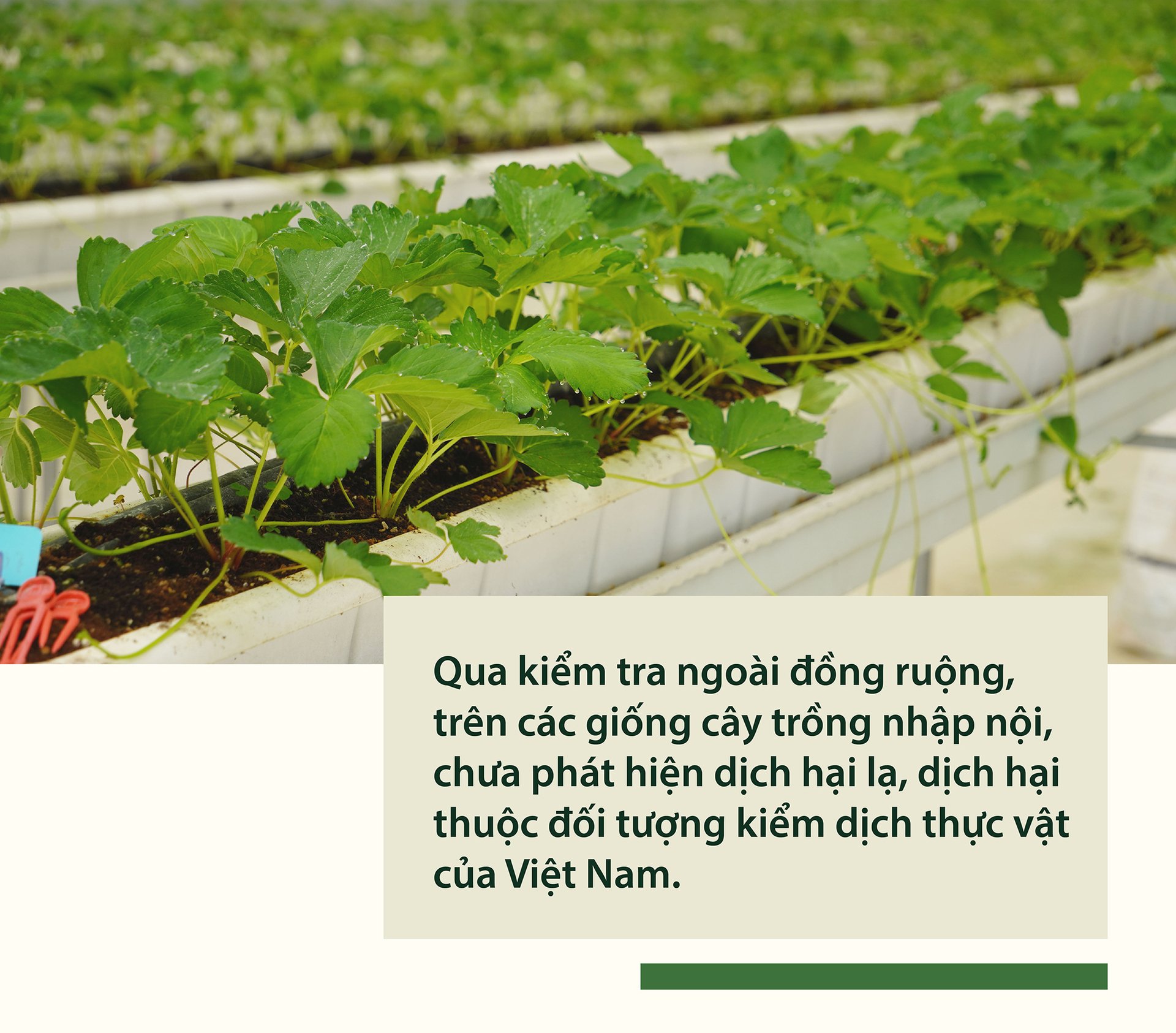 kiem-soat-tot-dich-hai-nho-giong-sach-benh-165129_622